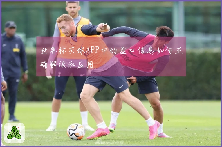 世界杯买球APP中的盘口信息如何正确解读和应用