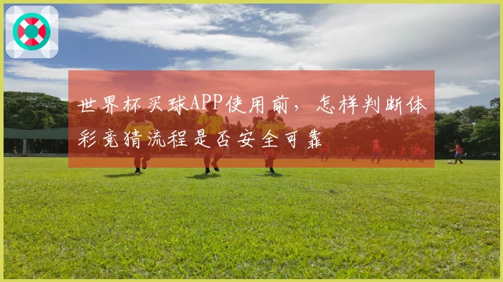 世界杯买球APP使用前，怎样判断体彩竞猜流程是否安全可靠