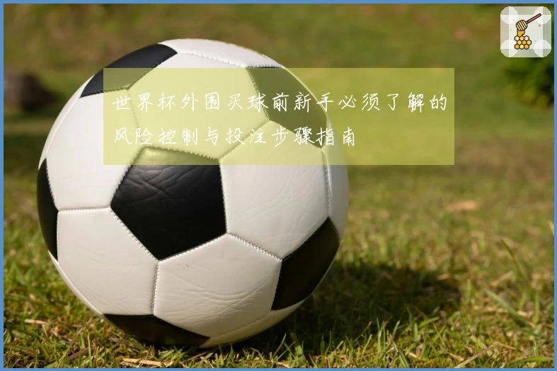 世界杯外围买球前新手必须了解的风险控制与投注步骤指南