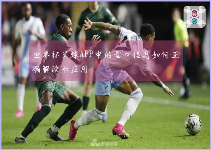 世界杯买球APP中的盘口信息如何正确解读和应用