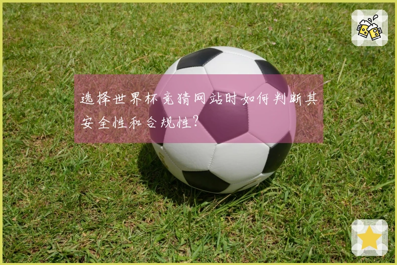 选择世界杯竞猜网站时如何判断其安全性和合规性？