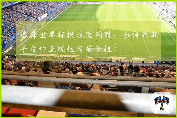 选择世界杯投注官网时，如何判断平台的正规性与安全性？
