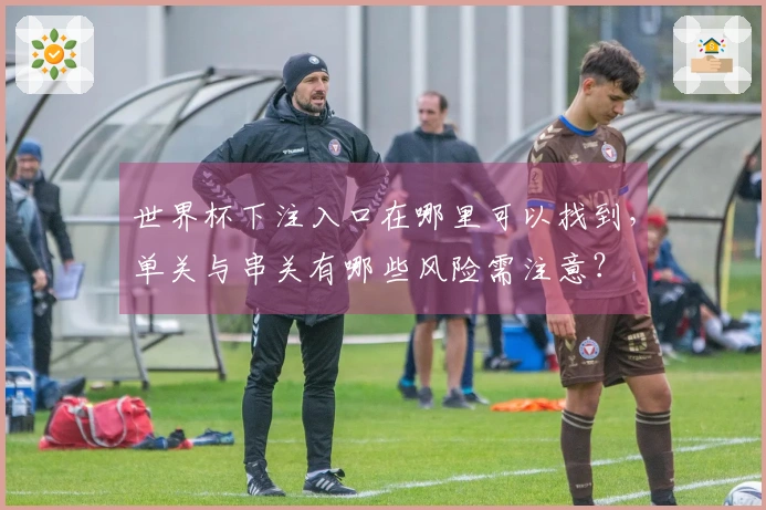 世界杯下注入口在哪里可以找到,单关与串关有哪些风险需注意?