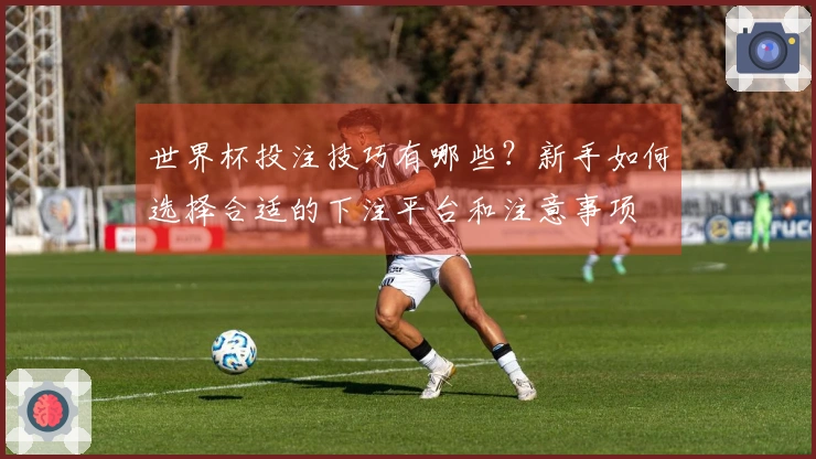 世界杯投注技巧有哪些？新手如何选择合适的下注平台和注意事项